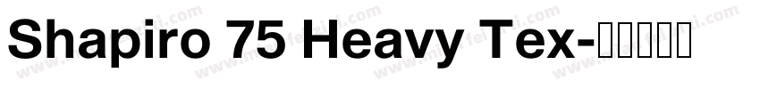 Shapiro 75 Heavy Tex字体转换